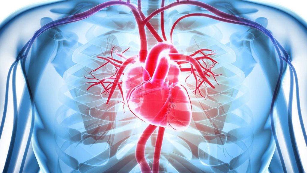 Neues Herz-Kreislauf-Zentrum am Kantonsspital Baselland