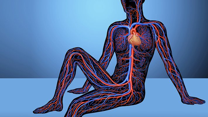 Erfolgreiche Rezertifizierung der Angiologie