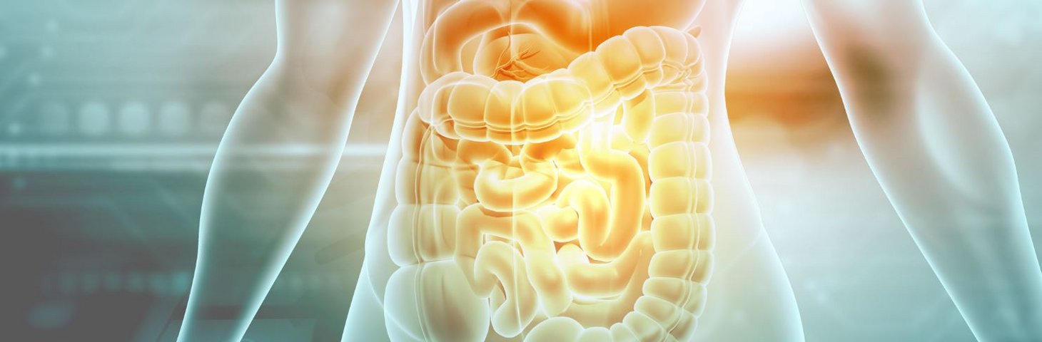 Gastro-Einblicke – Bauchzentrum KSBL