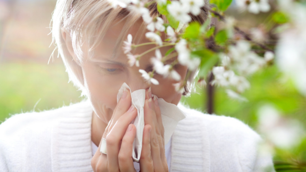 Hatschi! Der Frühling liegt in der Luft