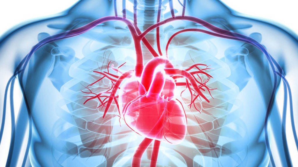 Kooperation in der interventionellen Kardiologie