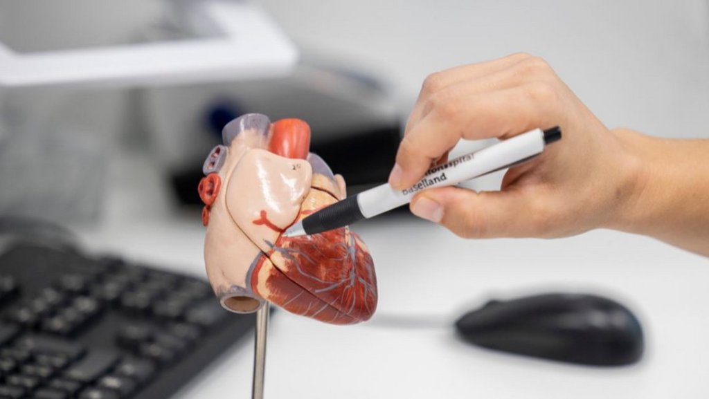 Digitale Kardiologie – cloudbasierte 24/7 Überwachung von Patientinnen und Patienten nach Einsatz einer Herzpumpe