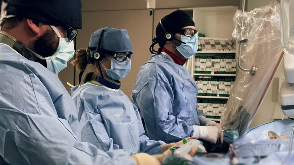 Neue Behandlungsmethode bei schwer verkalkten Herzkranzgefässen